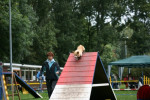 Agility, Odette
